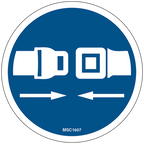 Seatbelt Decals, Pack of 10