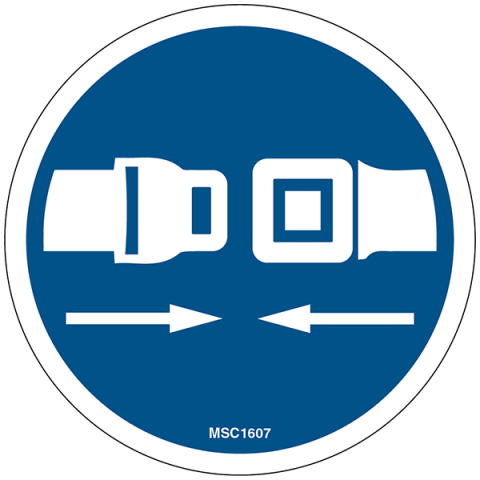 Seatbelt Decals, Pack of 10